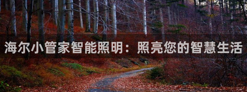 云顶国际平台游戏官网