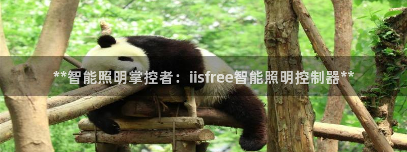 云顶集团王天才简介