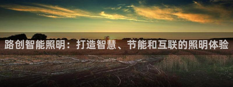 云顶国际调酒培训怎么样