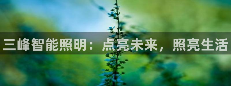 云顶集团是哪个国家的