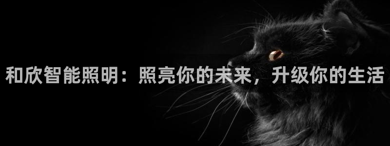 云顶国际威尼斯