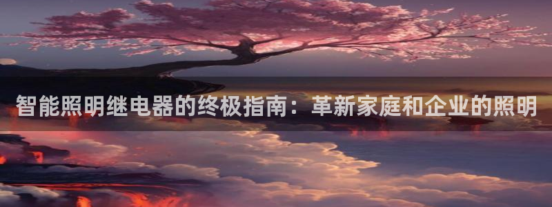 云顶国际服账号