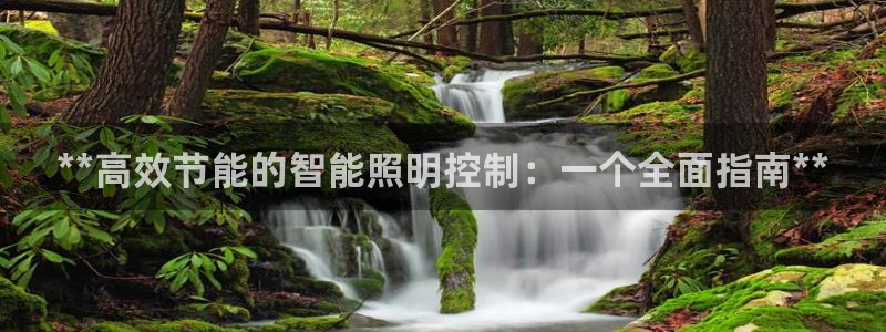 云顶国际服服务端错误