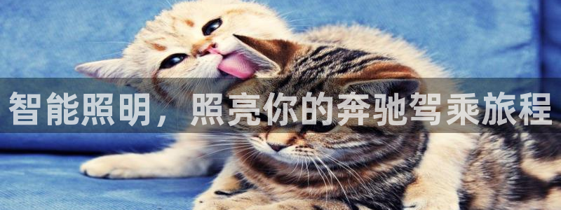 云顶国际游戏平台53m