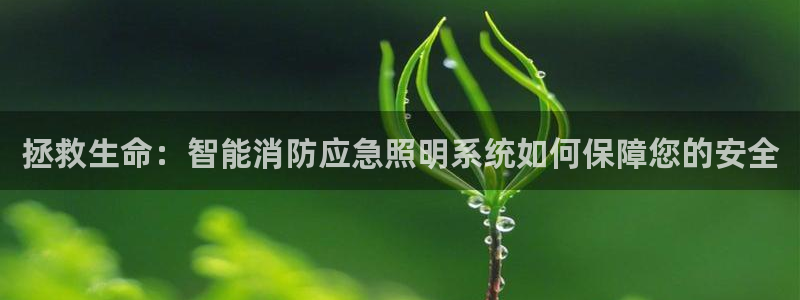 云顶国际百姓渔村