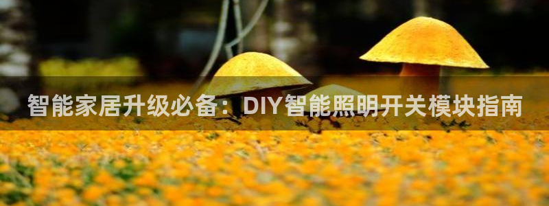 云顶国际投资有限公司招聘