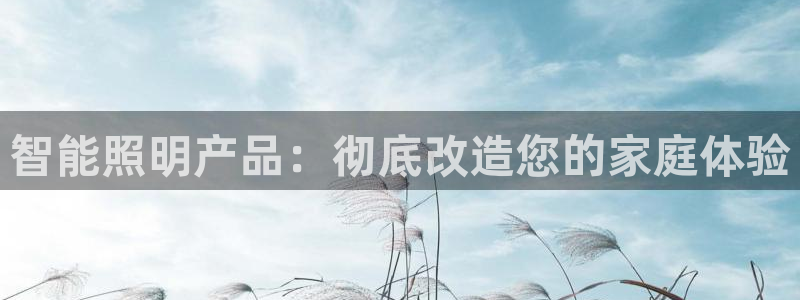 云顶集团老总