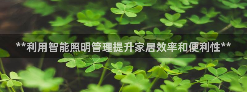 云顶国际酒店几星级的