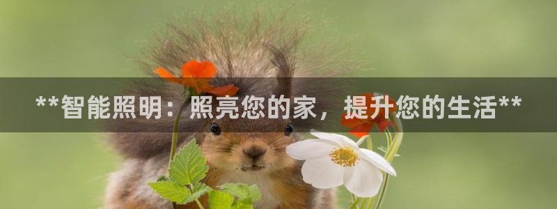 云顶国际滑雪度假小镇