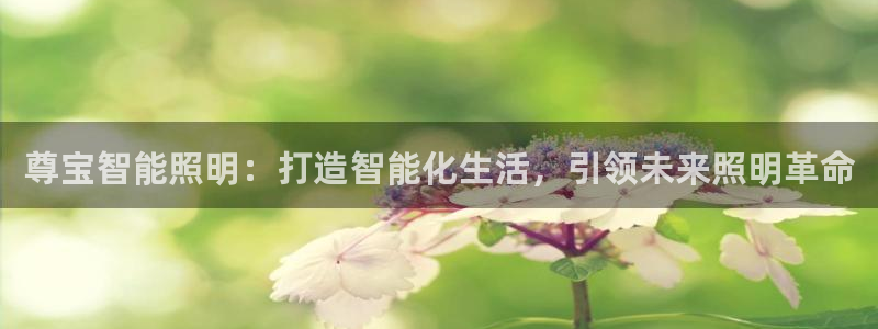 云顶集团app免费下载