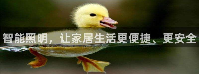 云顶国际版最新版苹果版