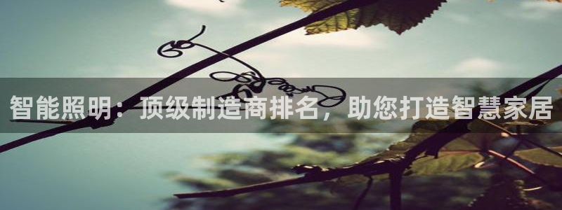 552211云顶网站
