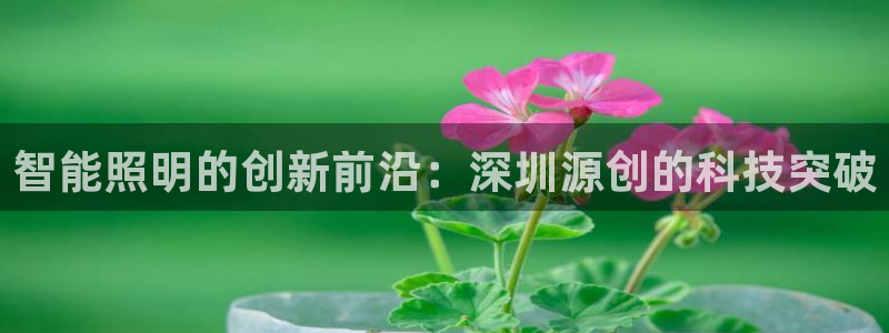 云顶集团最新官方网站入口