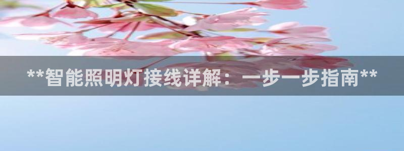 云顶国际网站是多少