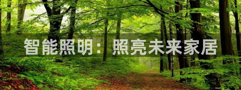 云顶国际晟荣协会高峰