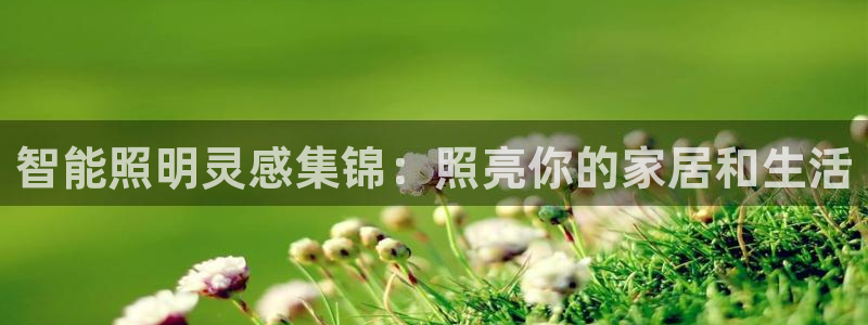 云顶集团有限公司,林东简历