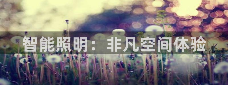云顶集团市值