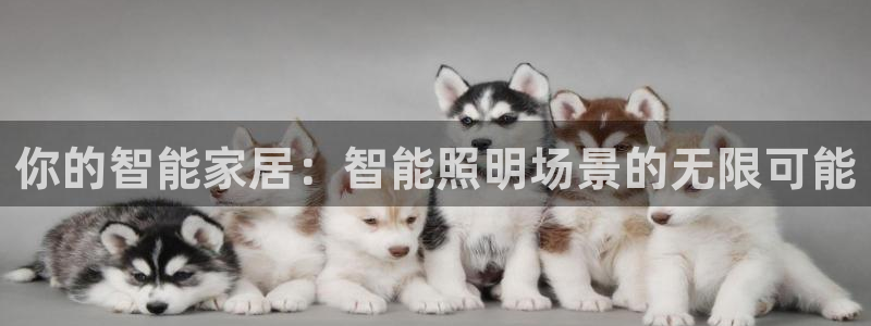 奉化云顶国际ktv