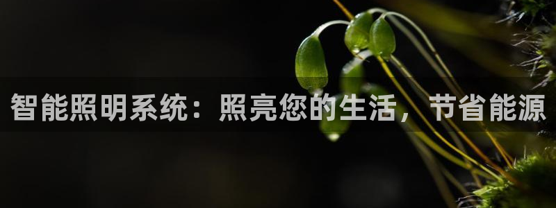 云顶国际pg网站官网