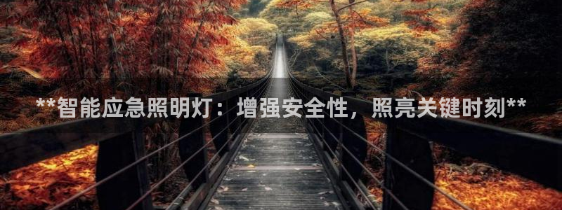 云顶国际ktv会所电话