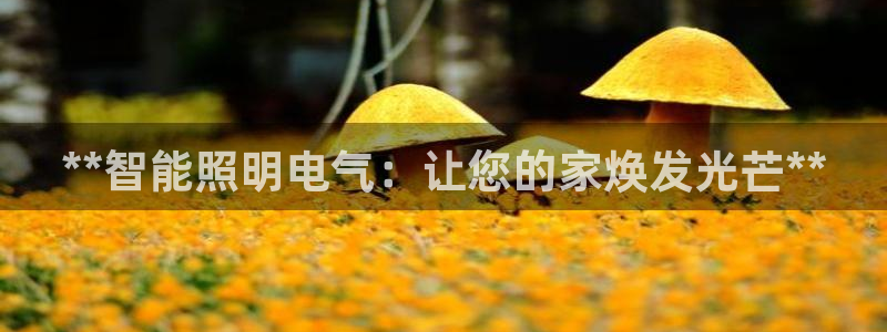 云顶国际游戏平台
