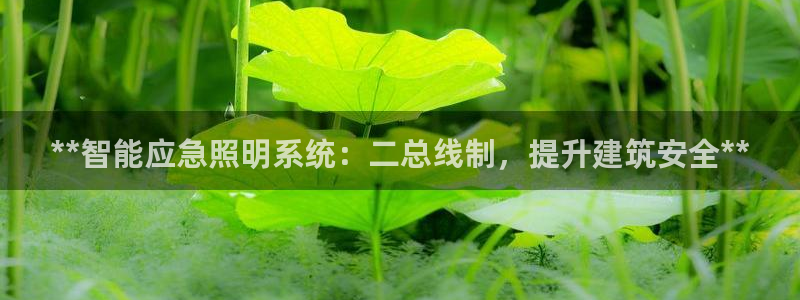 云顶国际服如何调中文