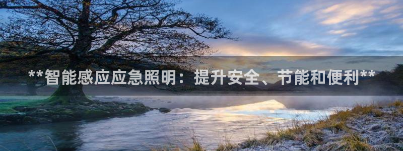 云顶国际房地产有限公司