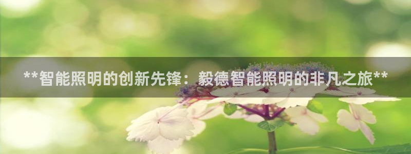 云顶国际官网app下载安卓