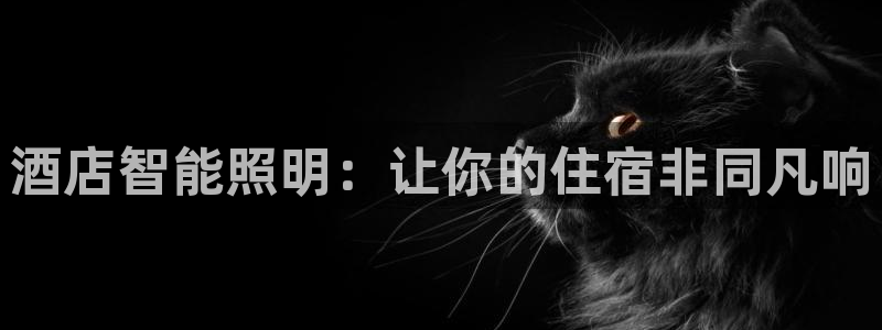 云顶国际调酒培训怎么样