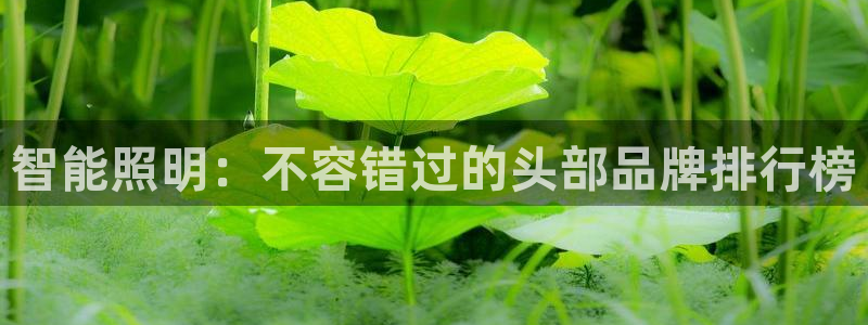 云顶国际取款多久到账啊