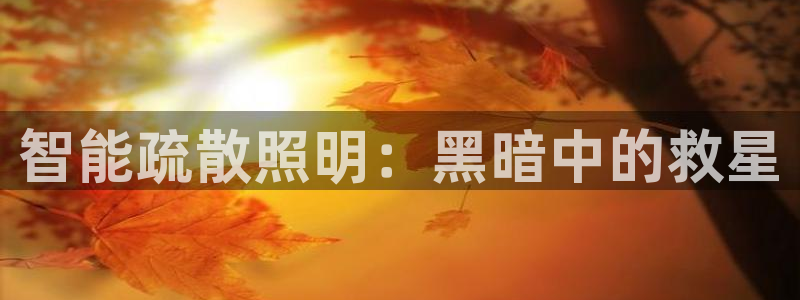 云顶国际休闲会所