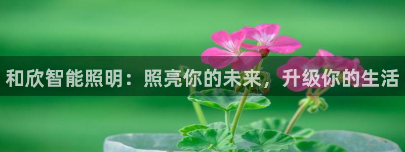 太原云顶国际酒店桑拿几楼