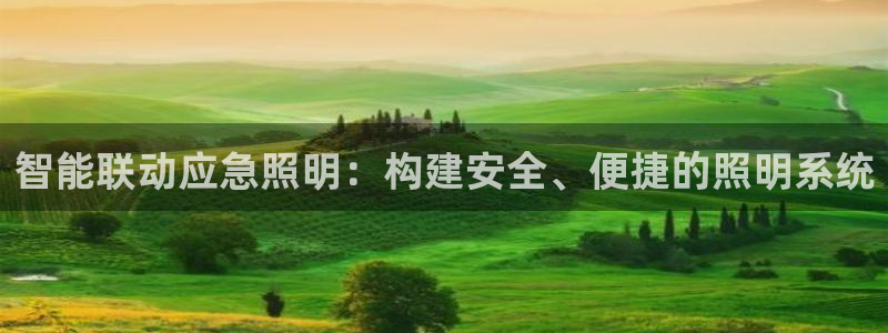 云顶国际旅行社怎么样