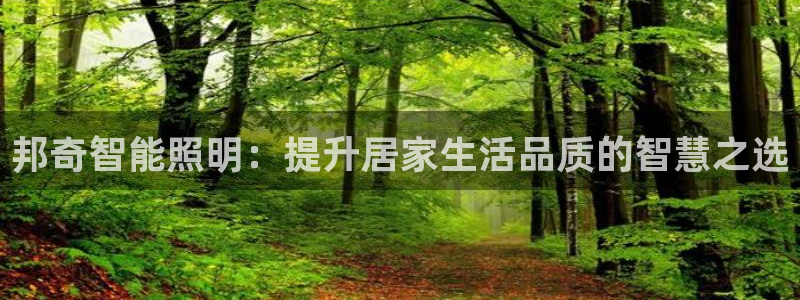 云顶国际公馆在哪：邦奇智能照明：提升居家