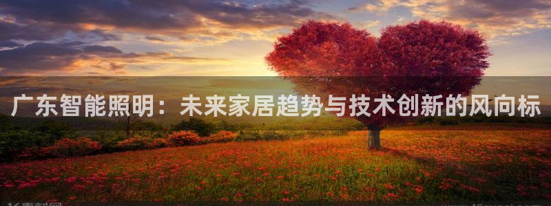 云顶国际是正规游戏吗安全吗：广东智能照明