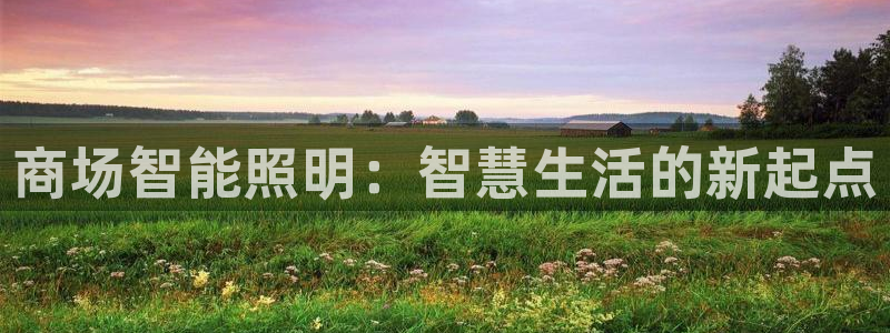 云顶国际服没有改名卡：商场智能照明：智慧