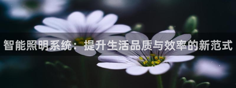 云顶国际大厦物业电话