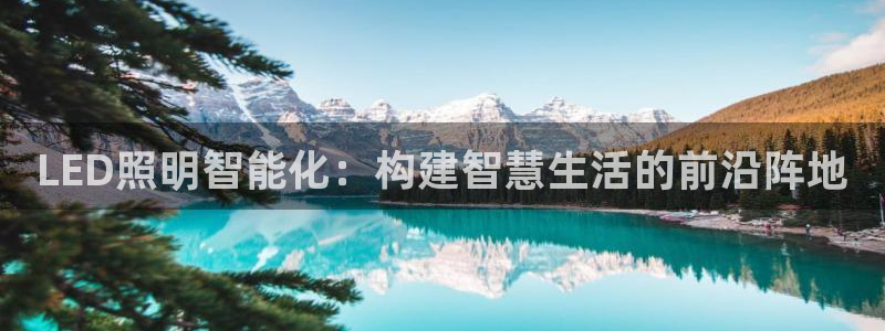 云顶国际服汉化