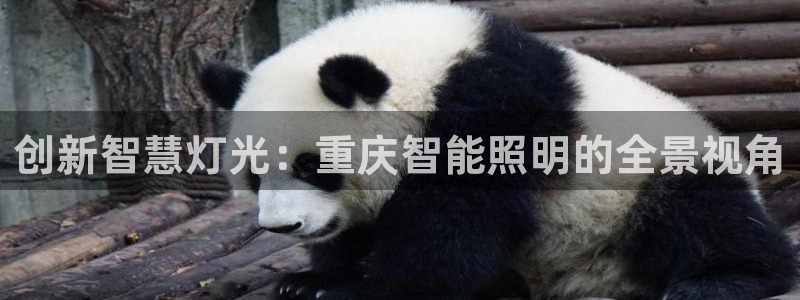 云顶国际麻将胡了多少张牌
