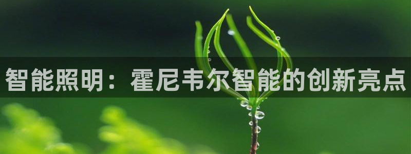 云顶集团公司董事长是谁