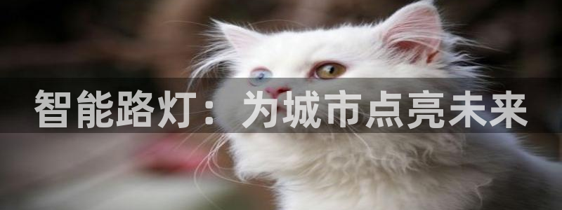 云顶集团官网电话