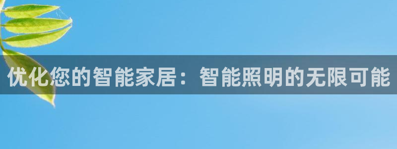 云顶国际酒店老板简介