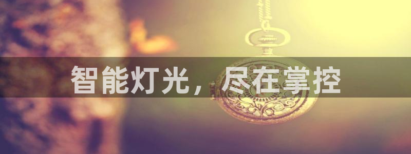 云顶集团有限公司简介