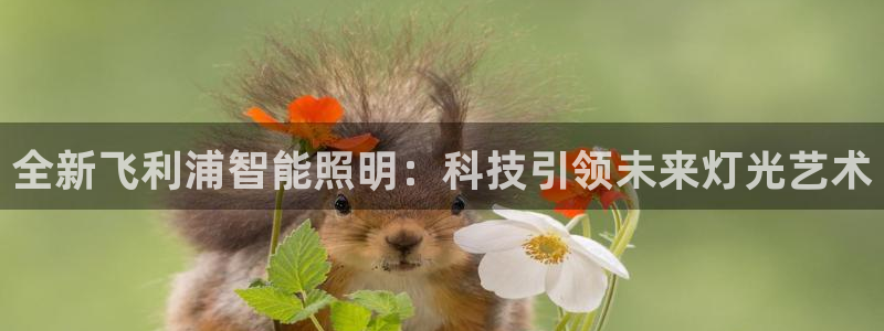 云顶国际酒店老板叫什么