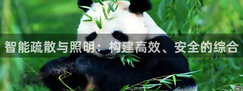 云顶国际服s9更新时间