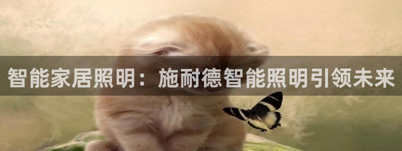 云顶国际平台游戏app