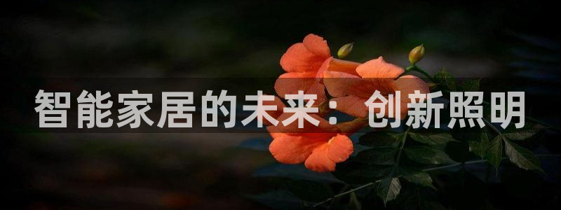 云顶国际前台电话是多少