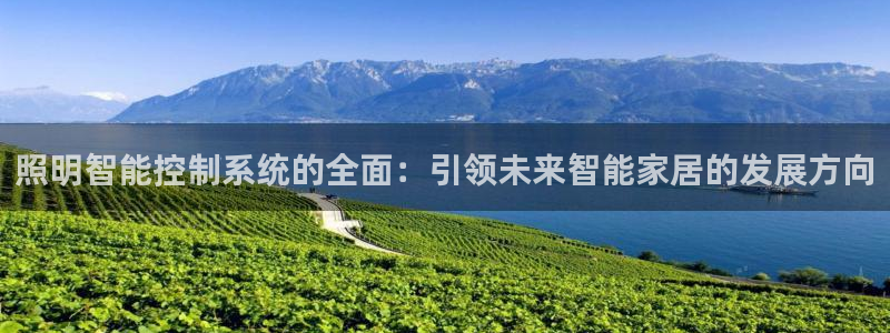 云顶国际物流官网