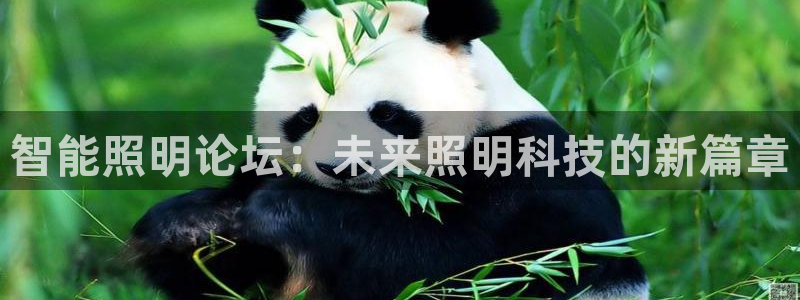 云顶国际集团官网网址