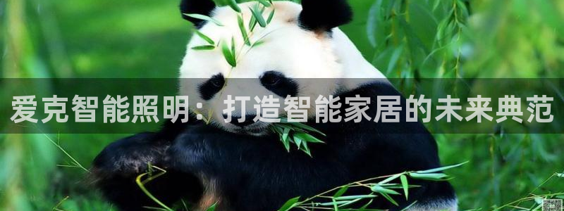 云顶国际是黑台吗还是白台